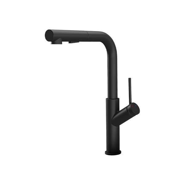 What Are the Differences Between a Pull-Out Kitchen Mixer Tap and Others?